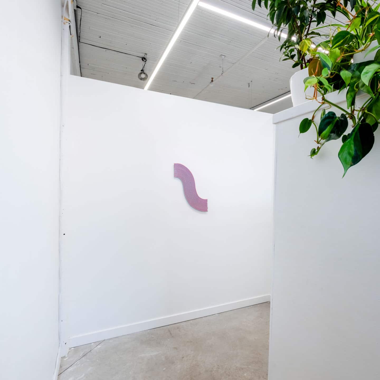 The Haptics of Optics at NAMARA projects